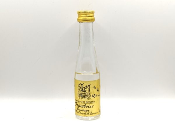 Miniature framboise sauvage- [Vintage]